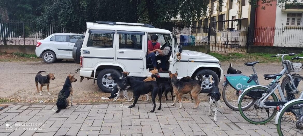 WhatsApp Image 2022-12-21 at 11.44.54 AM