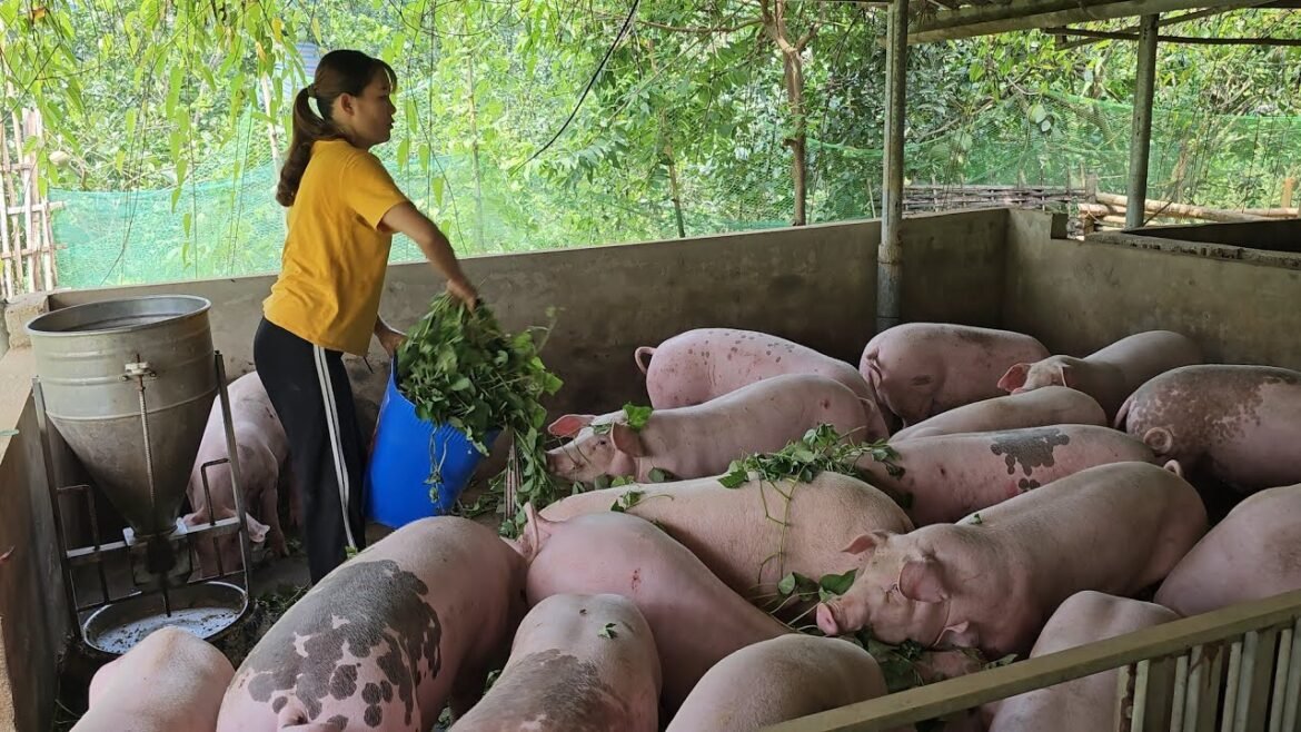 Yakhwrai Welfare Society