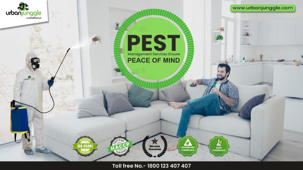 Urban Junggle: Setting a New Standard in Pest Management Services in India
